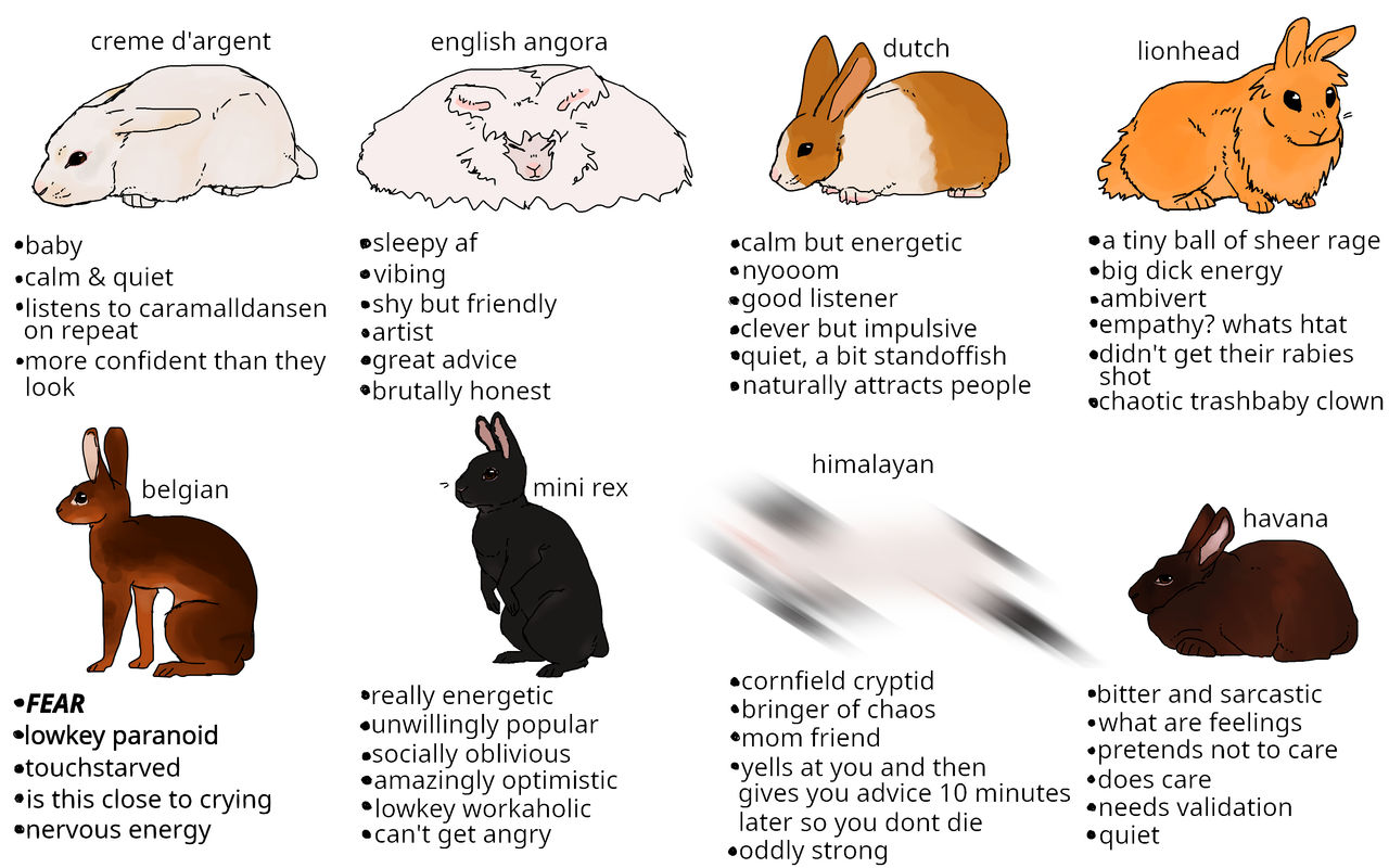 Rabbit Ranks rabbits. by cloverswine on DeviantArt
