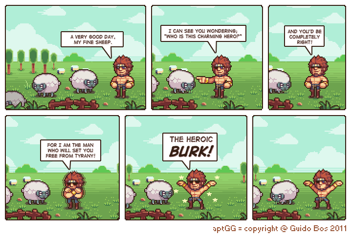 Sheep admire Burk