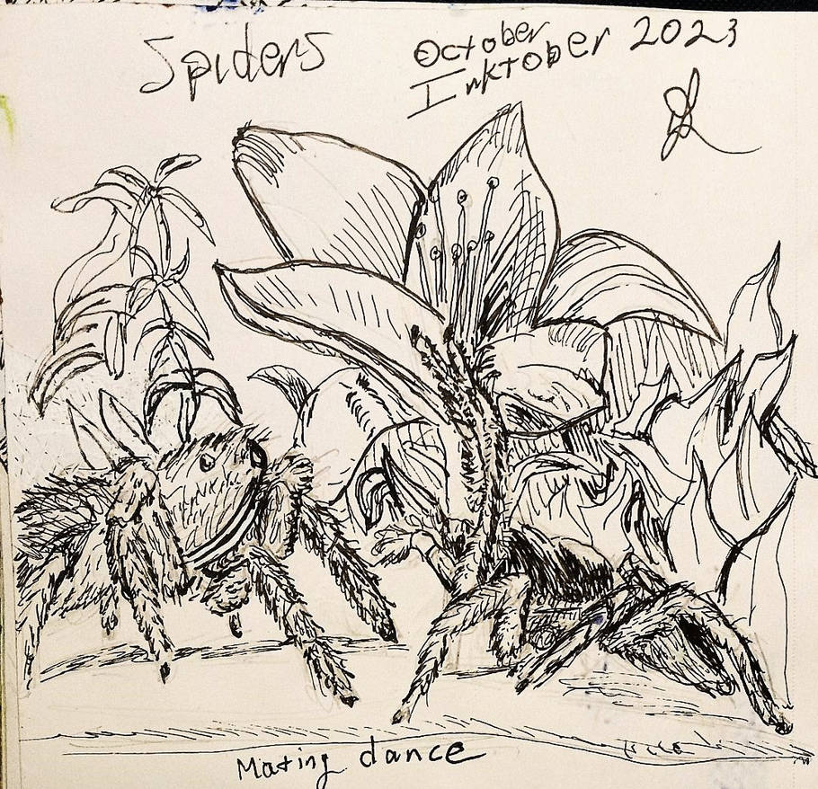 Deviantart Spider Spiders by Inkylee on DeviantArt