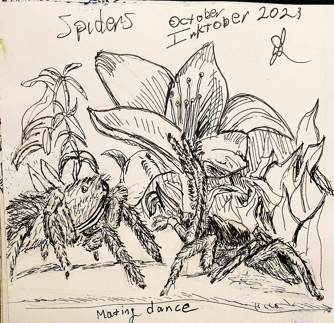 Spider Insect Deviantart Spiders by Inkylee on DeviantArt