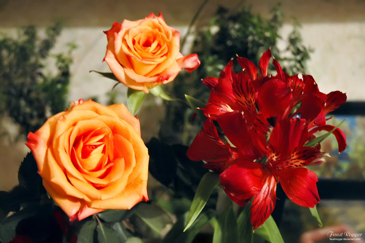 Orange roses and Lily