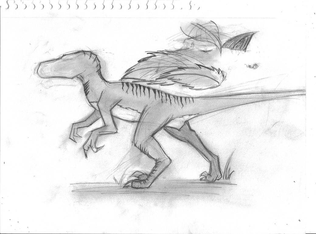 Skinny Raptor Drawing Raptor by Covernus on DeviantArt