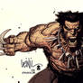 Wolverine by leinil