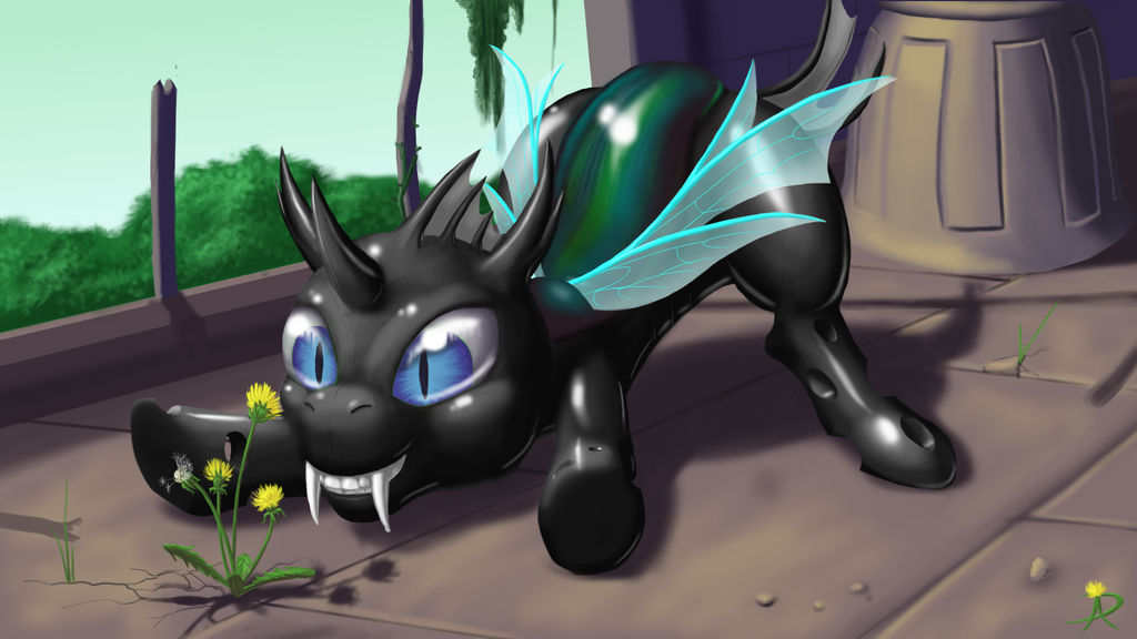 Chance The Changeling