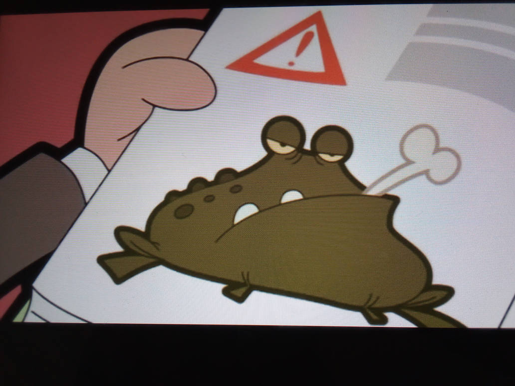 The toad by stickschannel4gaming on DeviantArt