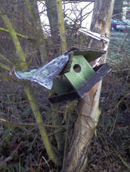 doomed birdhouse