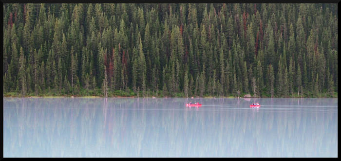 Canoes and Trees