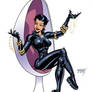 Scott Cohn - Catwoman