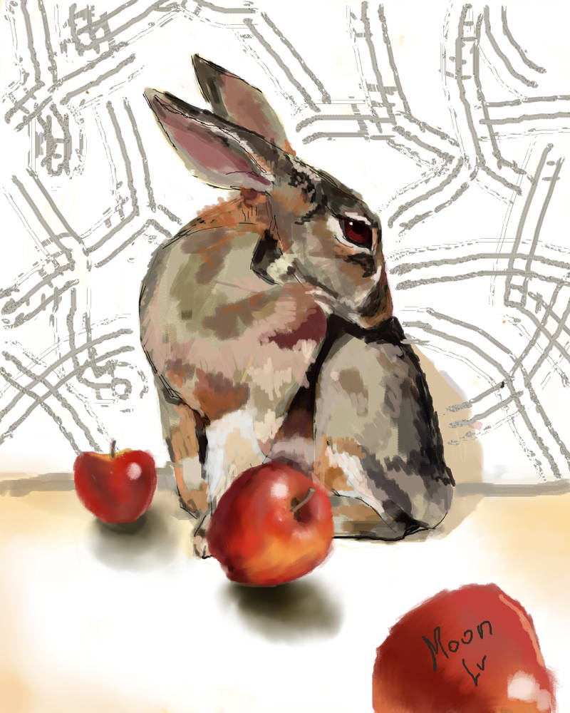 Rabbit and apples by veettt on DeviantArt