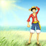 Luffy 2Y