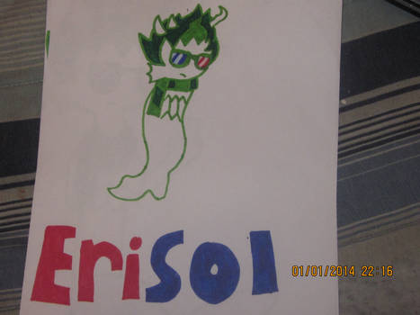 Erisol