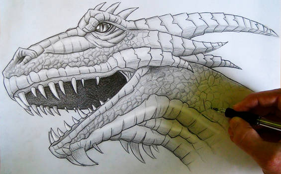 Mark Crilley Dragon Head Tutorial