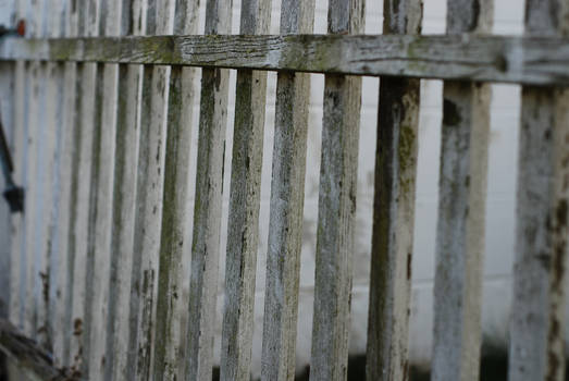 fence