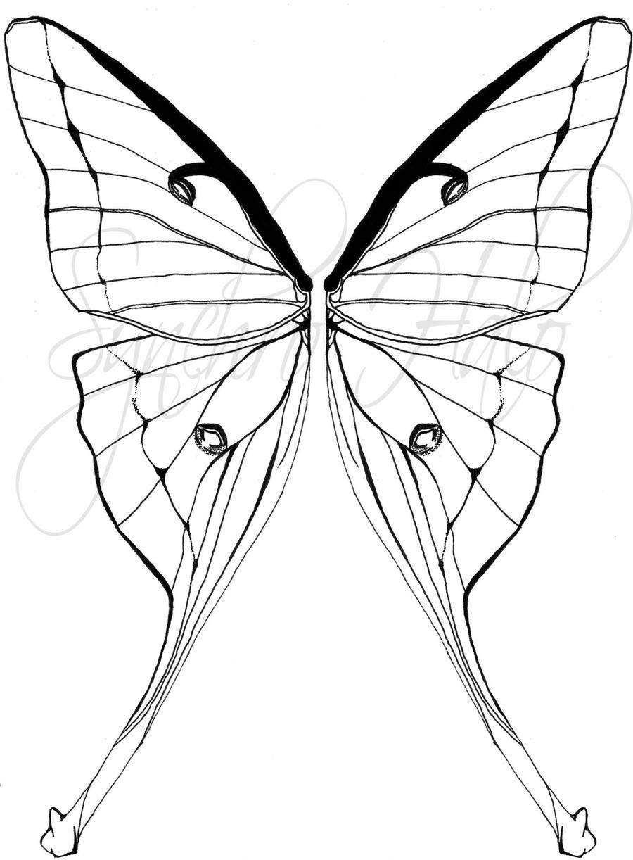 Luna Moth Tattoo Commission By Synchro Halo On Deviantart Luna Moth Tattoo Commission By Synchro Halo On Deviantart