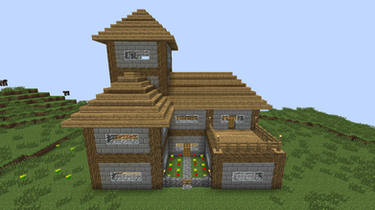 Minecraft Survival House