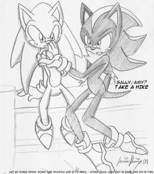 SONADOW: Sonic and Shadow