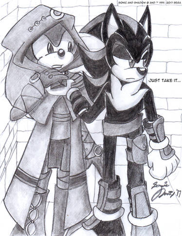 Sonic Boom and Shadow Boom Gear swap by 455510 -- Fur Affinity