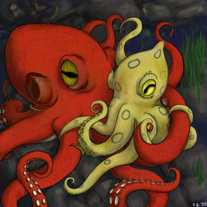 octopus love