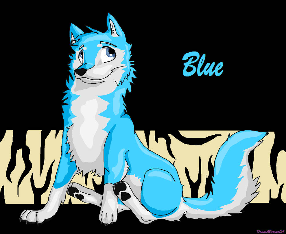 Blue the Wolf by SiaWolFurry on DeviantArt