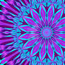 Purple, Teal, and Turquoise Go Crazy!