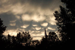 Puffy Clouds