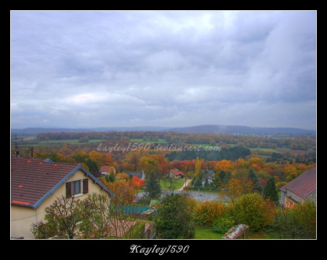 Outside My Window