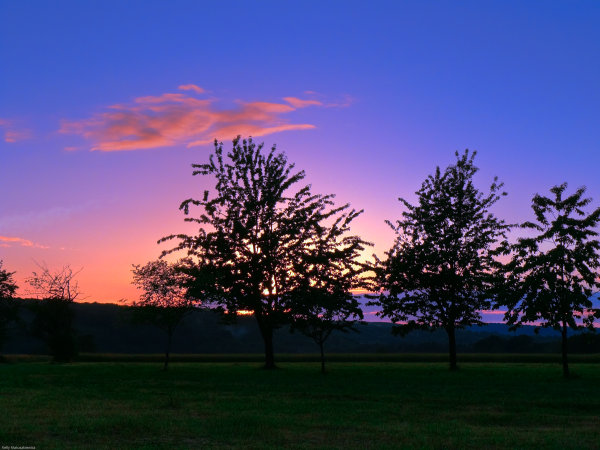 Pink And Blue