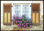 Window and pink flowers by Kayley1590
