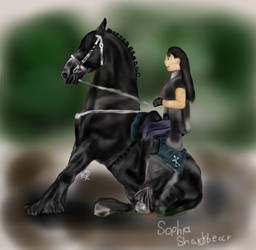 Friesian Dreesage