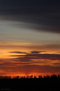 Sunrise Over Farmland