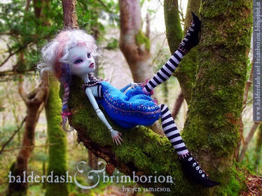 OOAK Monster High doll customization