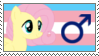 trans_stallion_fluttershy___stamp_by_rot
