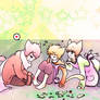 APH kittens