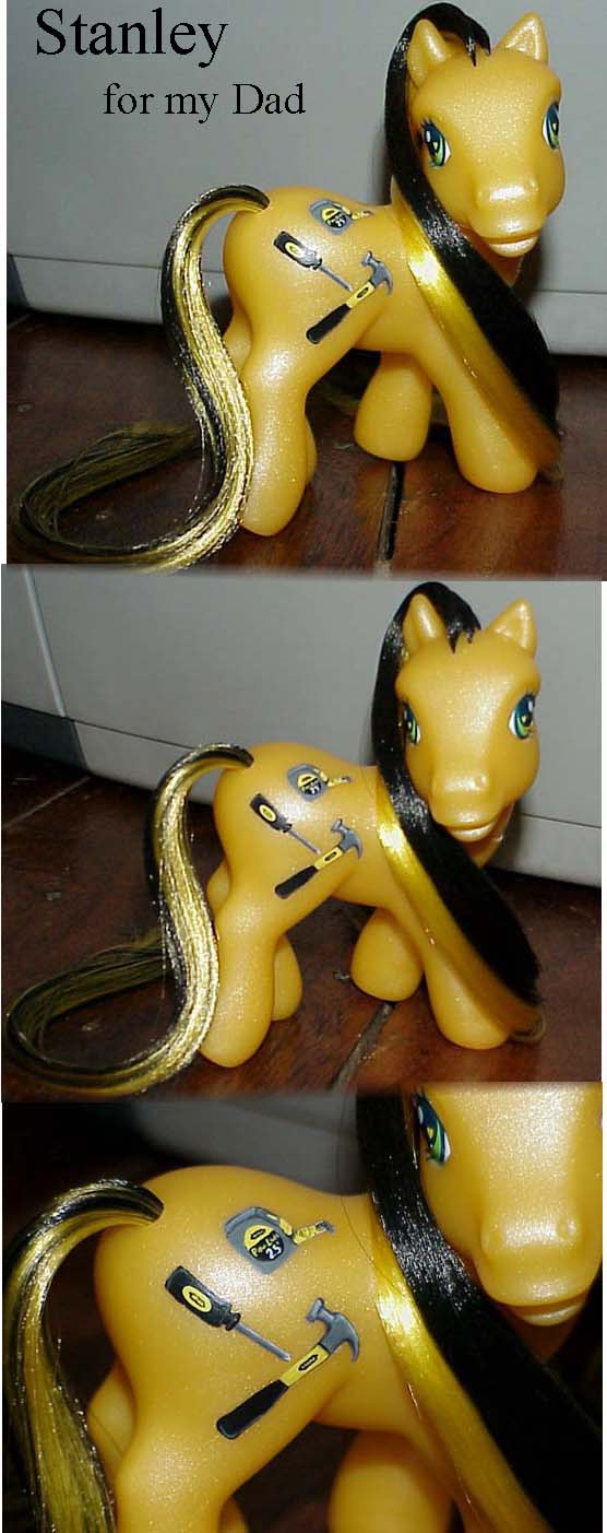 Stanley the custom pony