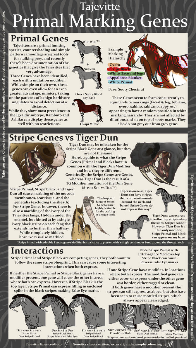 Primal Markings by TajevitteHerd22 on DeviantArt Primal Markings by TajevitteHerd22 on DeviantArt