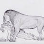King Atrox (Panthera leo atrox)
