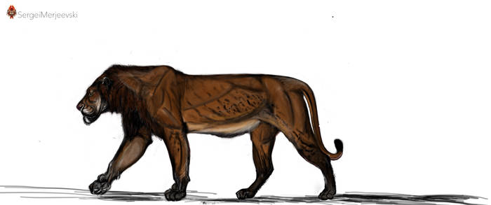 Panthera (Leo) atrox.