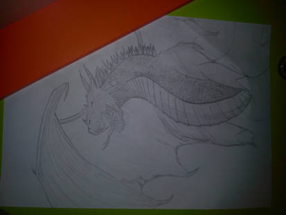 A Dragon