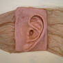 its an ear