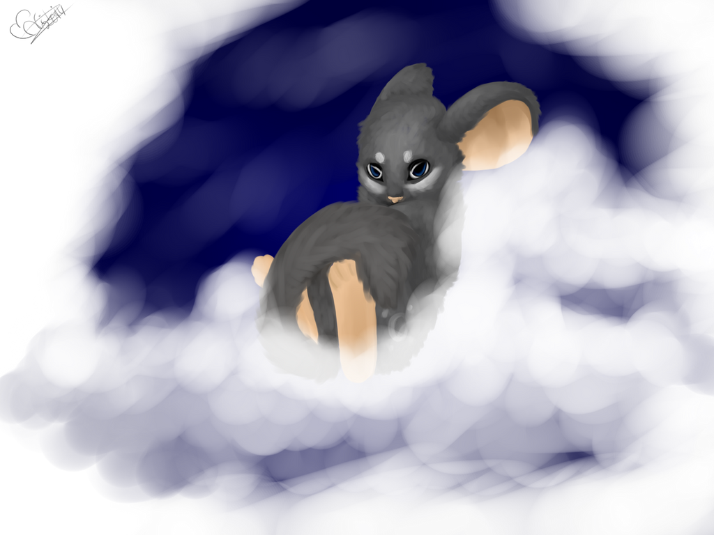 Transformice my favourite fur by NikiTFM on DeviantArt