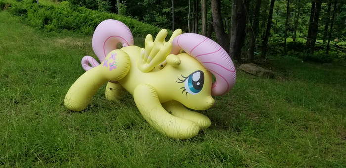 Mega Fluttershy (right side)