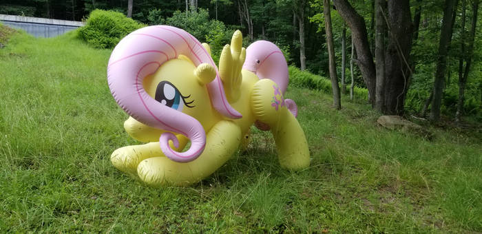 Mega Fluttershy (left side)