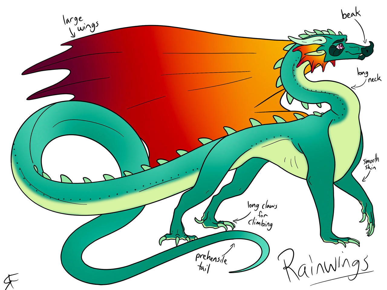 Red Rainwing Rainwing headcanon by Ryry294 on DeviantArt