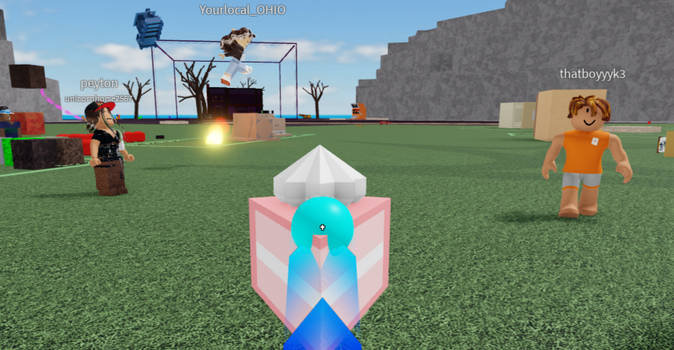 Random Roblox Screen Shots #314