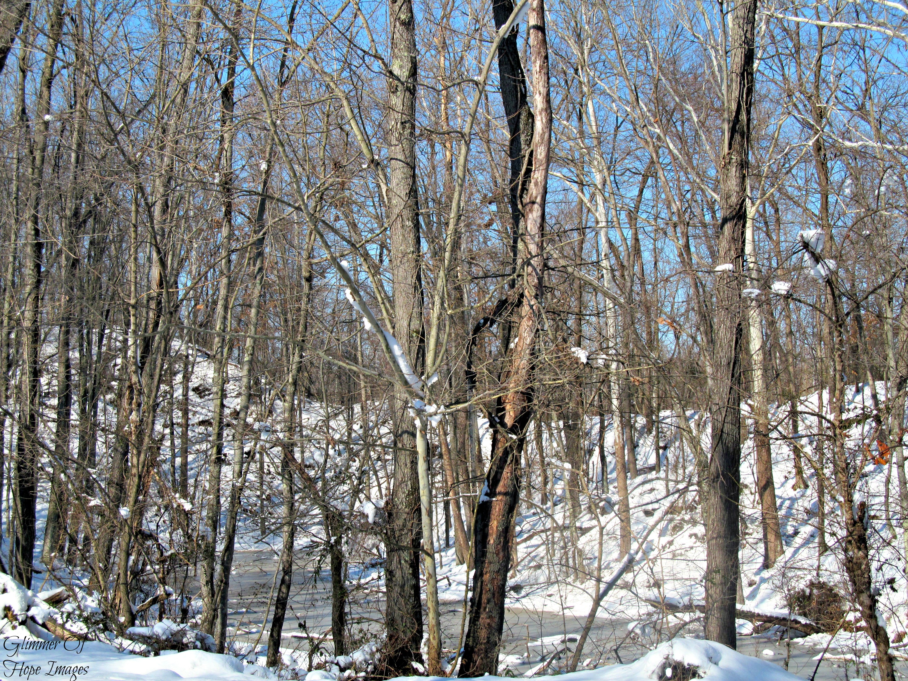 Frozen Creek