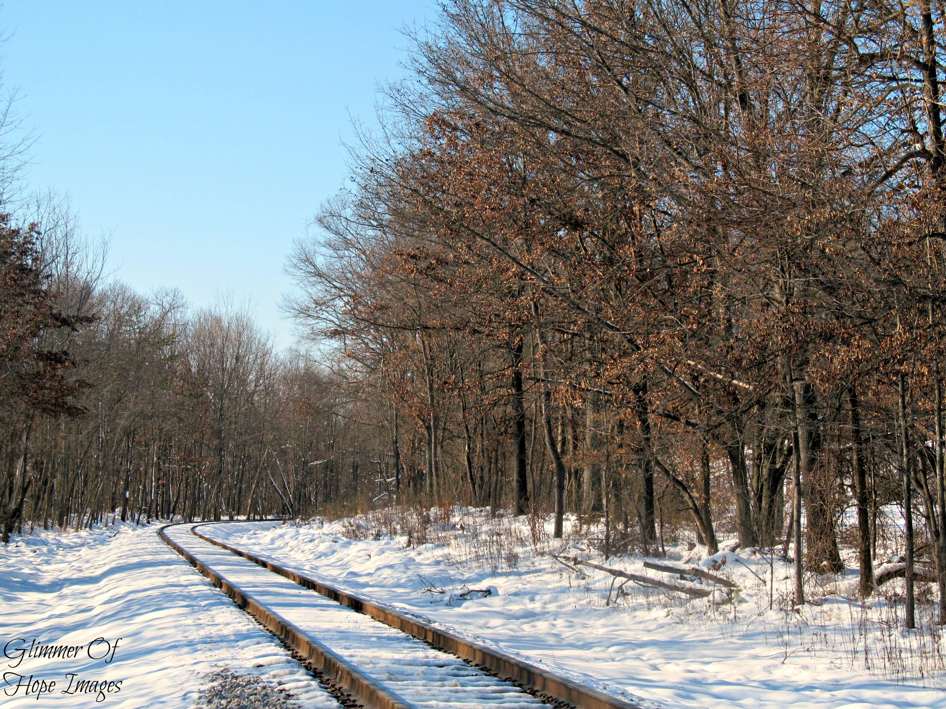 Snowy Tracks