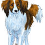 Kooikerhondje