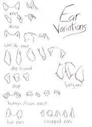 Canine Ear variations by mx-mouse