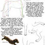Dog proportions tutorial