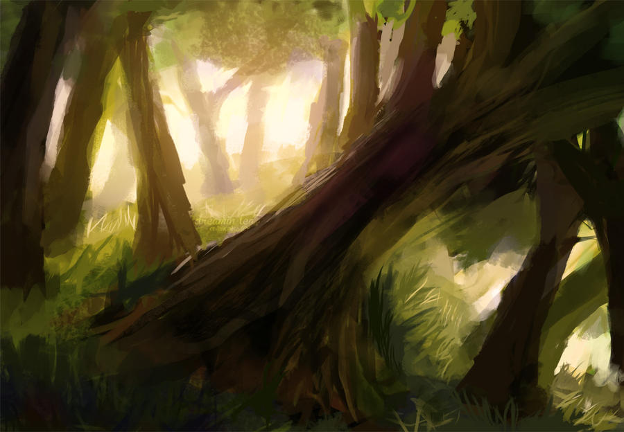 Forest by Avenlea-art on DeviantArt